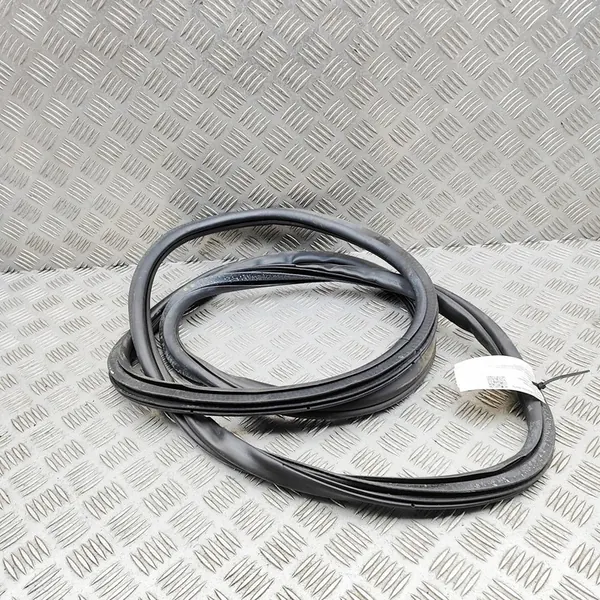 Rear Right Door Seal Cadillac Escalade 84507989 image 3