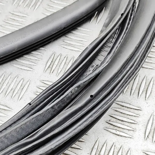 Rear Right Door Seal Cadillac Escalade 84507989 image 7