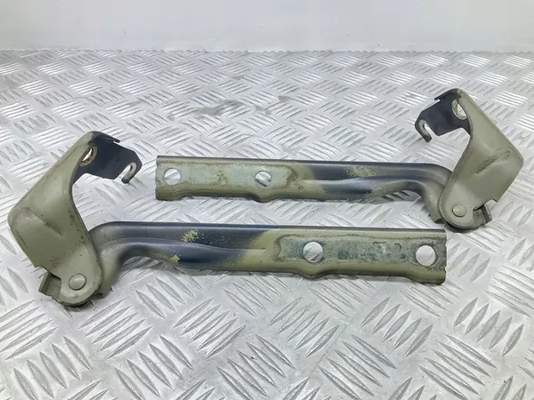 Bisagra de capó izquierda VW Tiguan 08-18 5N0823301A image 5