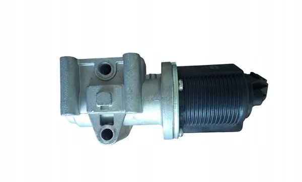 Válvula EGR Magneti Marelli 571822112005 image 3