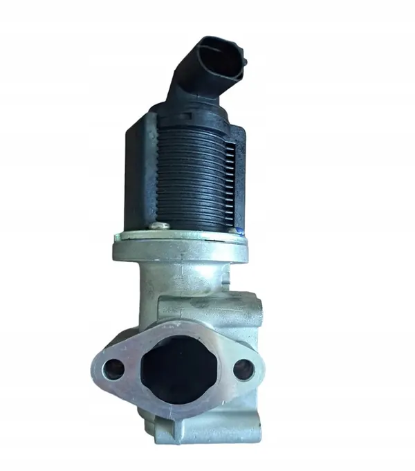 Válvula EGR Magneti Marelli 571822112005 image 7