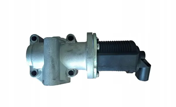 Válvula EGR Magneti Marelli 571822112005 image 8