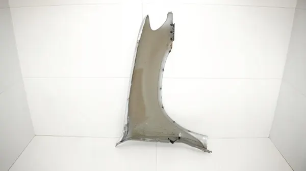 Aile avant gauche OEM 365577736 BMW X5 E53 99-03 image 9