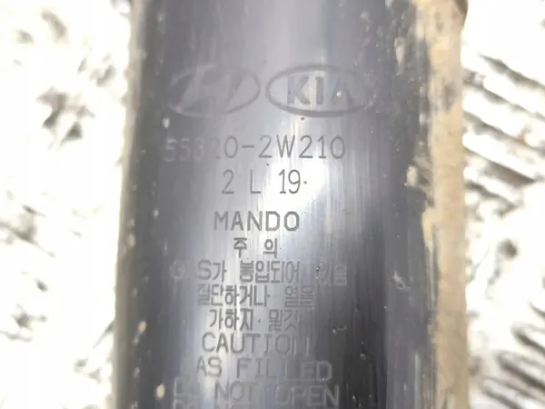 Ammortizzatore posteriore sinistro Hyundai Santa Fe 2013 OEM image 2