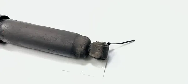 Ammortizzatore Posteriore Sinistro Fiat Ducato III 1369850080 image 4