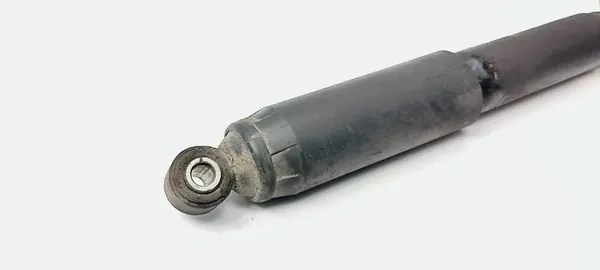 Ammortizzatore Posteriore Sinistro Fiat Ducato III 1369850080 image 5