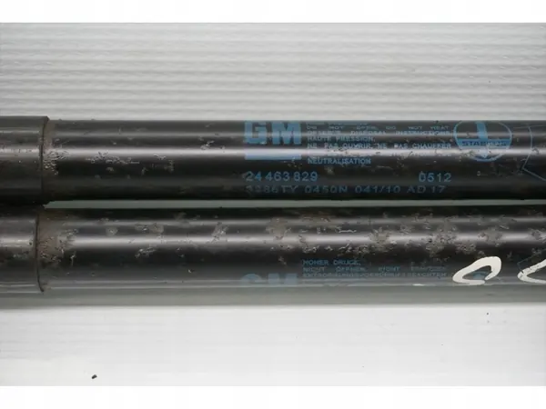 Vauxhall Astra Takaluukun Iskunvaimennin 2005 image 4