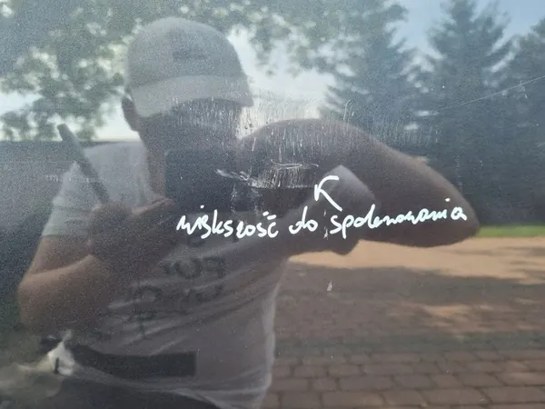 Höger Bakdörr Ford Galaxy MK2 06-15 Färg X6 OEM image 9