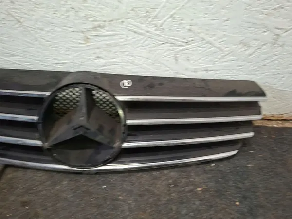 Mercedes-Benz OE A2098800023 griglia image 2