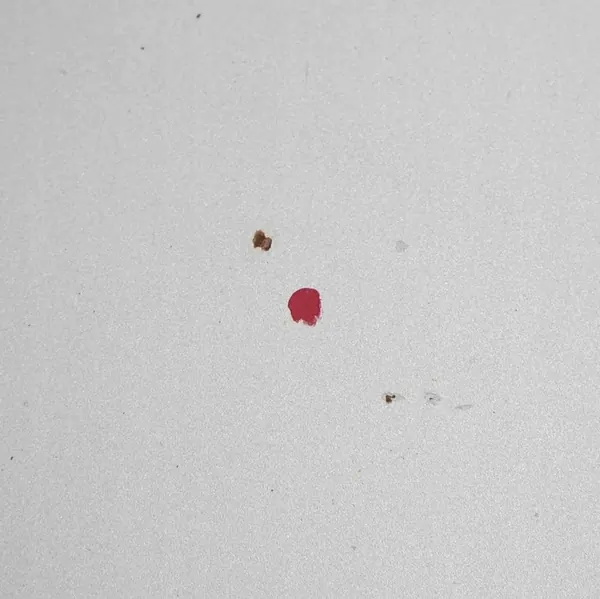 BMW X3 E83 Motorhuv Titansilber 354 image 4