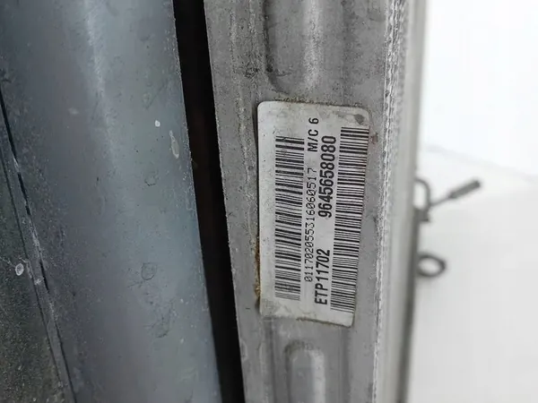 Cooling Set Water AC Fan Peugeot 307 SW 2.0 B 9645658080 image 5