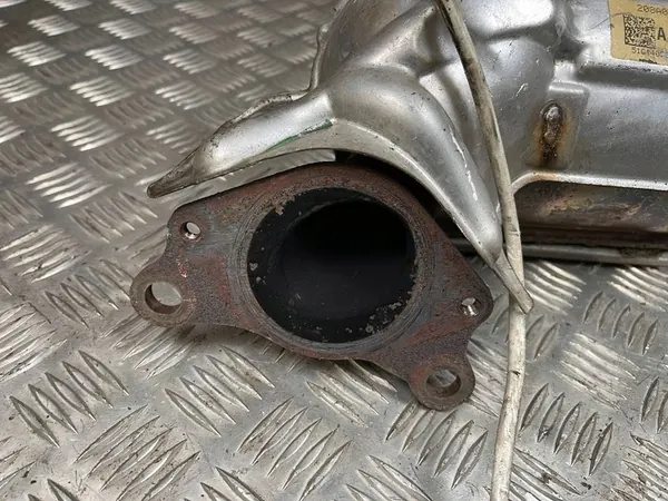 Nissan Juke I F15 2015 DPF Filter image 2