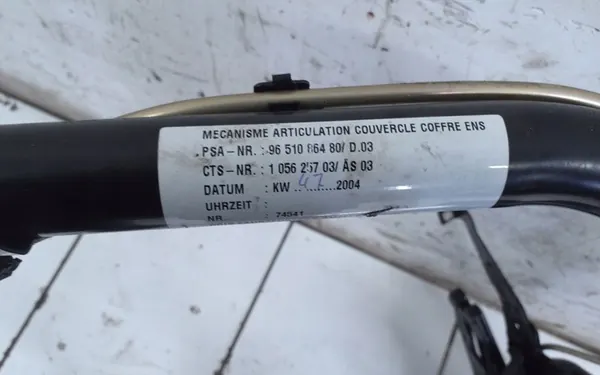 Teto Conversível Peugeot 307 CC 2005 image 4