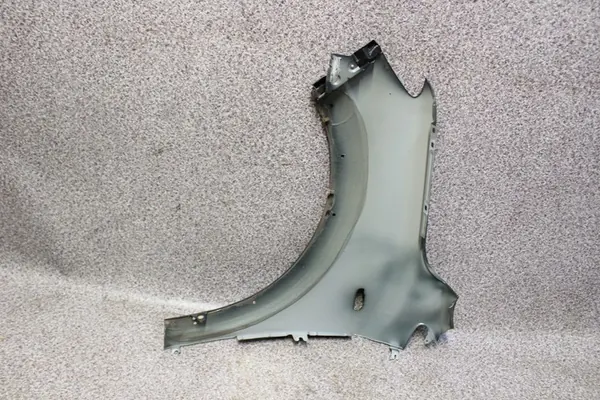 Dacia Sandero III 21- Höger Framskärm Grön image 3