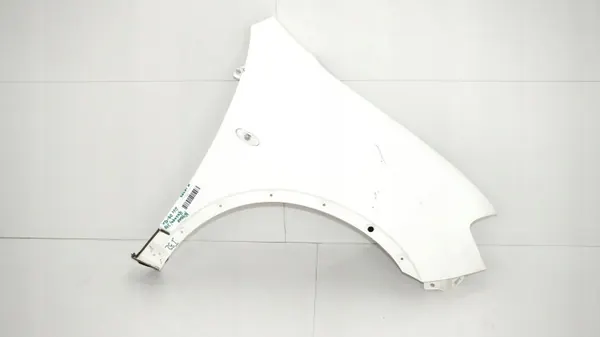 Voor rechter spatbord OEM 360151627 Nissan Qashqai J10 image 2