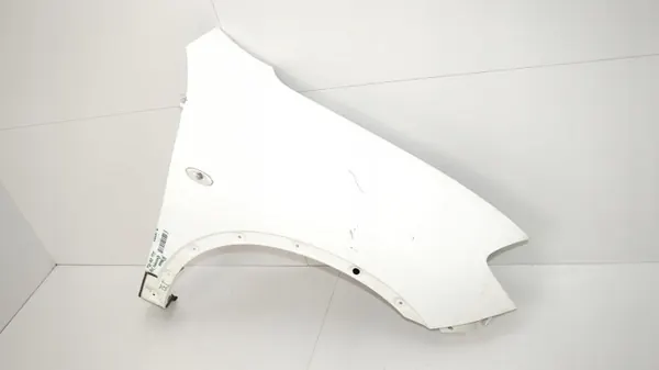Voor rechter spatbord OEM 360151627 Nissan Qashqai J10 image 4