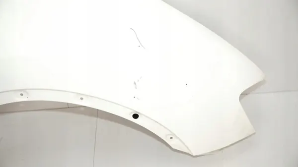 Voor rechter spatbord OEM 360151627 Nissan Qashqai J10 image 5