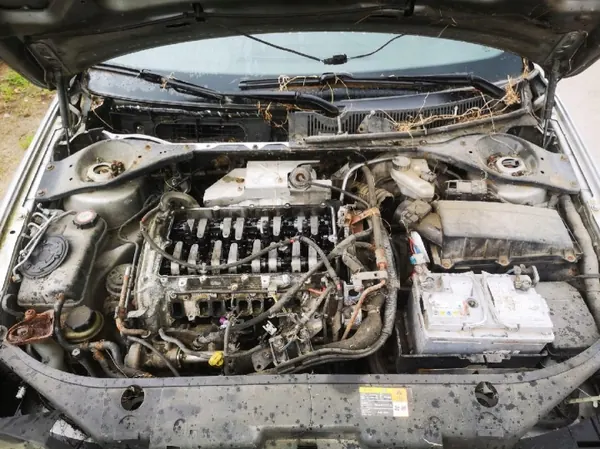 OEM 2051466 Ford Mondeo Taka-Vasen Neljännesikkuna image 7