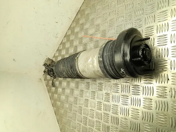 Mola pneumática BMW usada OEM 1002124321 Traseira Esquerda image 2
