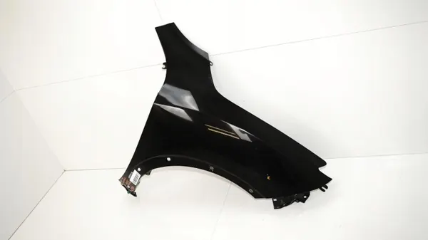 OEM 371118120 Fram höger stänkskärm för Nissan Juke image 3