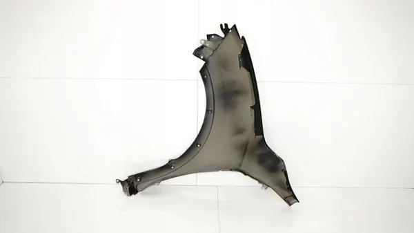 OEM 371118120 Fram höger stänkskärm för Nissan Juke image 7