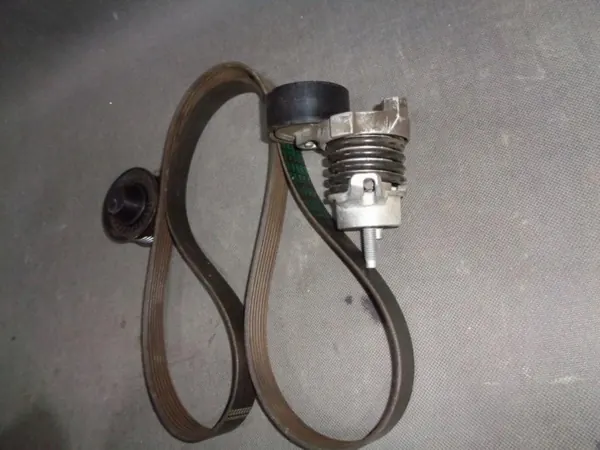 Renault OE 1172 033 36R Tensor de Correia Multi-V image 4