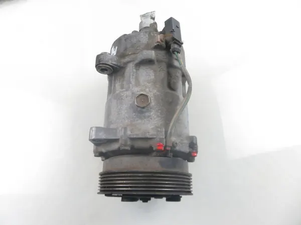 Compressor ar condicionado Sanden OEM M1076108 image 6