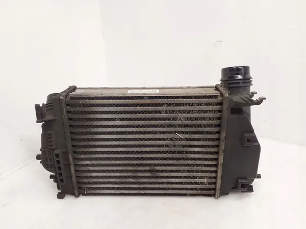 Nissan OE 144614BE0A Radiatore di raffreddamento motore image 3