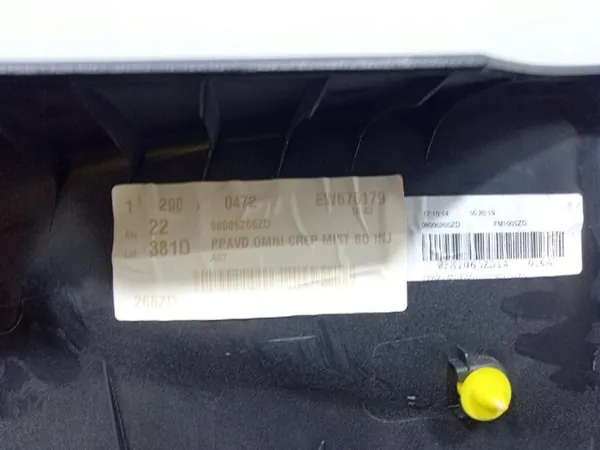 OEM 98006266ZD Höger Framdörrspanel Citroen C3 II image 10