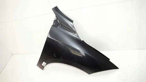 OEM 360153155 Etu-oikea lokasuoja Renault Megane III image 2