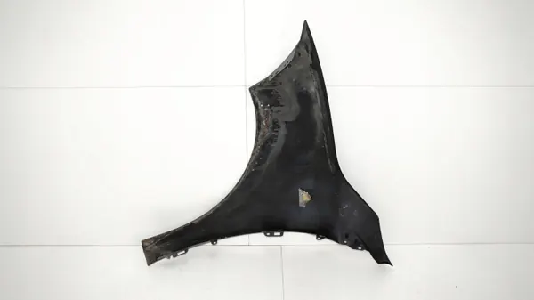OEM 360153155 Etu-oikea lokasuoja Renault Megane III image 9