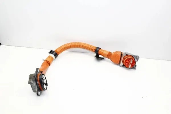 Câble de Charge de Batterie Toyota BZ4X 821H342010 image 1