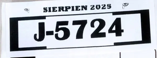 PEUGEOT 208 II Rivestimento Parafango Posteriore Destro 98247224XY image 7