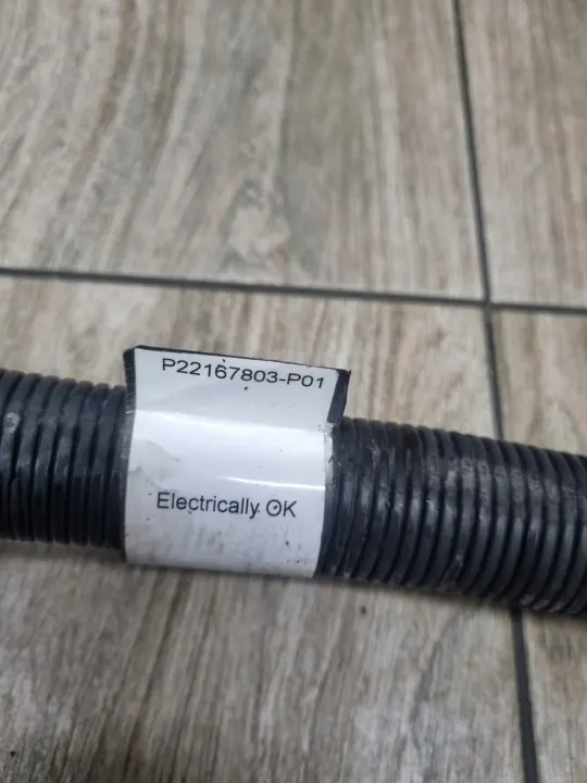 Motor-Kabelbaum OEM 22167803 für Renault/Volvo image 4