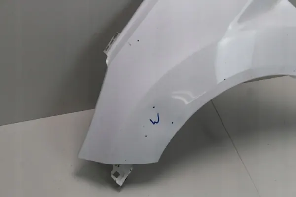 Para-lamas dianteiro esquerdo OEM 360207761 Ford Fiesta MK7 image 4