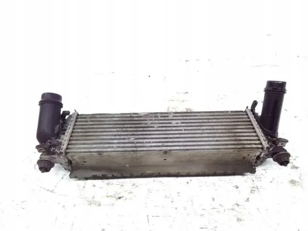 Intercooler Nissan Navara NP300 EH940003 OEM image 2