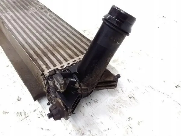 Intercooler Nissan Navara NP300 EH940003 OEM image 3