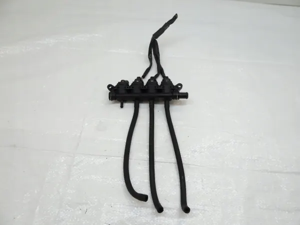 Riel de inyectores GLP Landi Renzo OEM 110R-000201 image 2