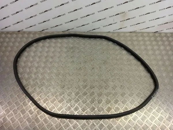 Joint de hayon BMW 5 TOURING (F11) 2009 OEM 4128 image 1