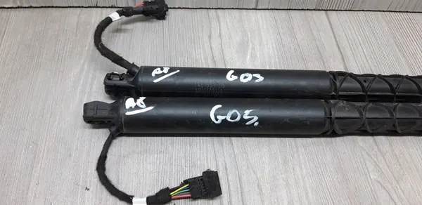 Bagageluckor BMW G05 OEM 7461669 image 2