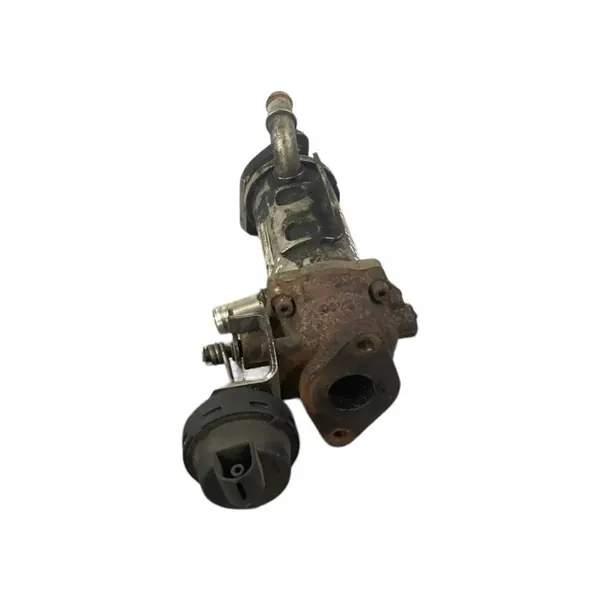 EGR-koeler RENAULT LAGUNA III 2.0L diesel 2009 H8200340616 image 2