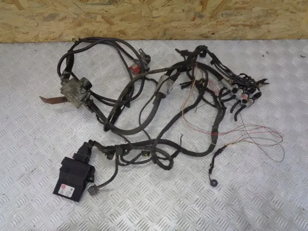 Kit LPG Sequencial BRC DE817010 4 Cilindros image 2
