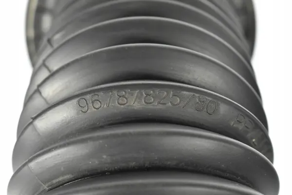 Cuscino di ammortizzatore Vivaro C Expert Jumpy III Zafira Life D OEM image 2