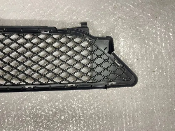 Grille inférieure de pare-chocs avant Mercedes-Benz B W246 image 5