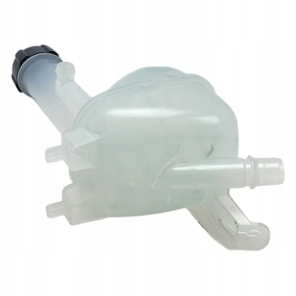 Kühlmittelbehälter Dacia Duster III 217102102R image 10