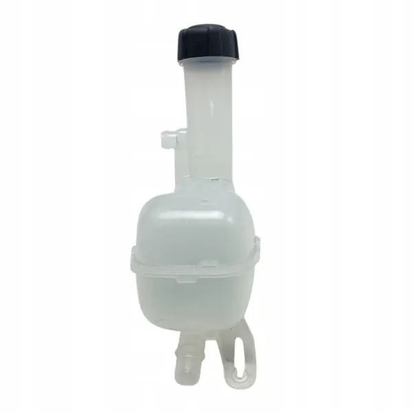 Kühlmittelbehälter Dacia Duster III 217102102R image 5