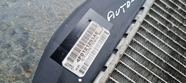 Radiador de agua Audi A6 2.0 TDI image 10