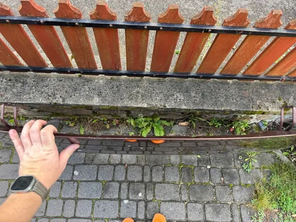 Volvo V40 II 12- Motorhuv OEM Zd04098 image 8