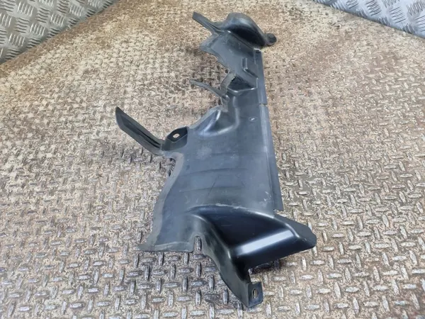 Luftansauggrill DODGE CHARGER 3.6L Benzin OEM 68212037AB image 2