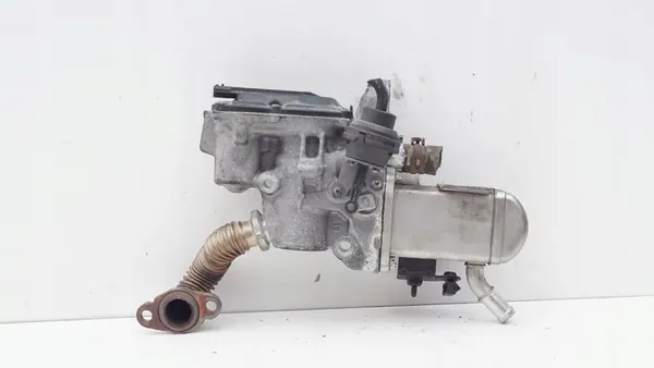 Válvula EGR Renault Scenic III 8201027384 image 2